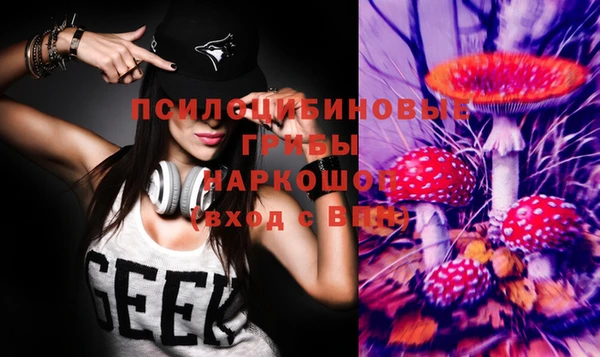 каннабис Алзамай