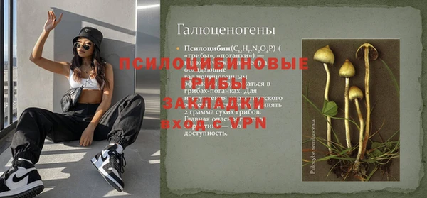 твердый Алексин