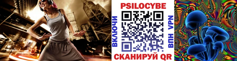 продажа наркотиков  Узловая  Псилоцибиновые грибы Cubensis 