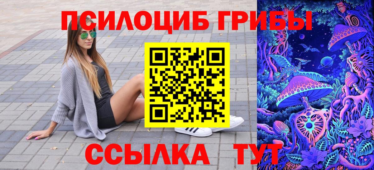 Псилоцибиновые грибы Psilocybe Узловая