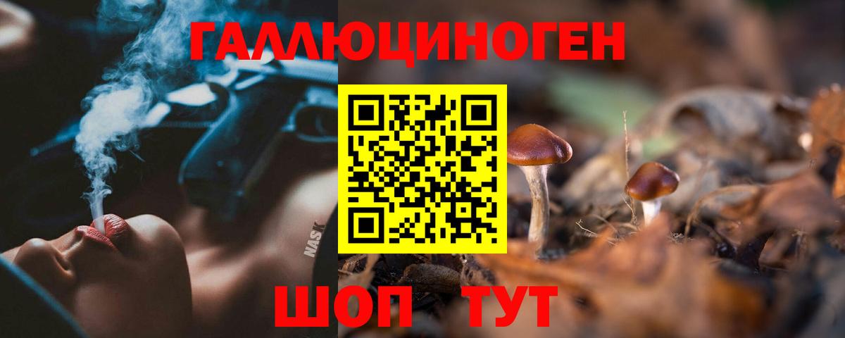Узловая  Галлюциногенные грибы GOLDEN TEACHER  Вход с VPN 